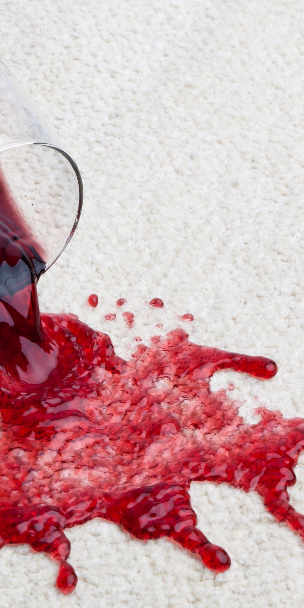 Reinigungstipps Reinigungstipps