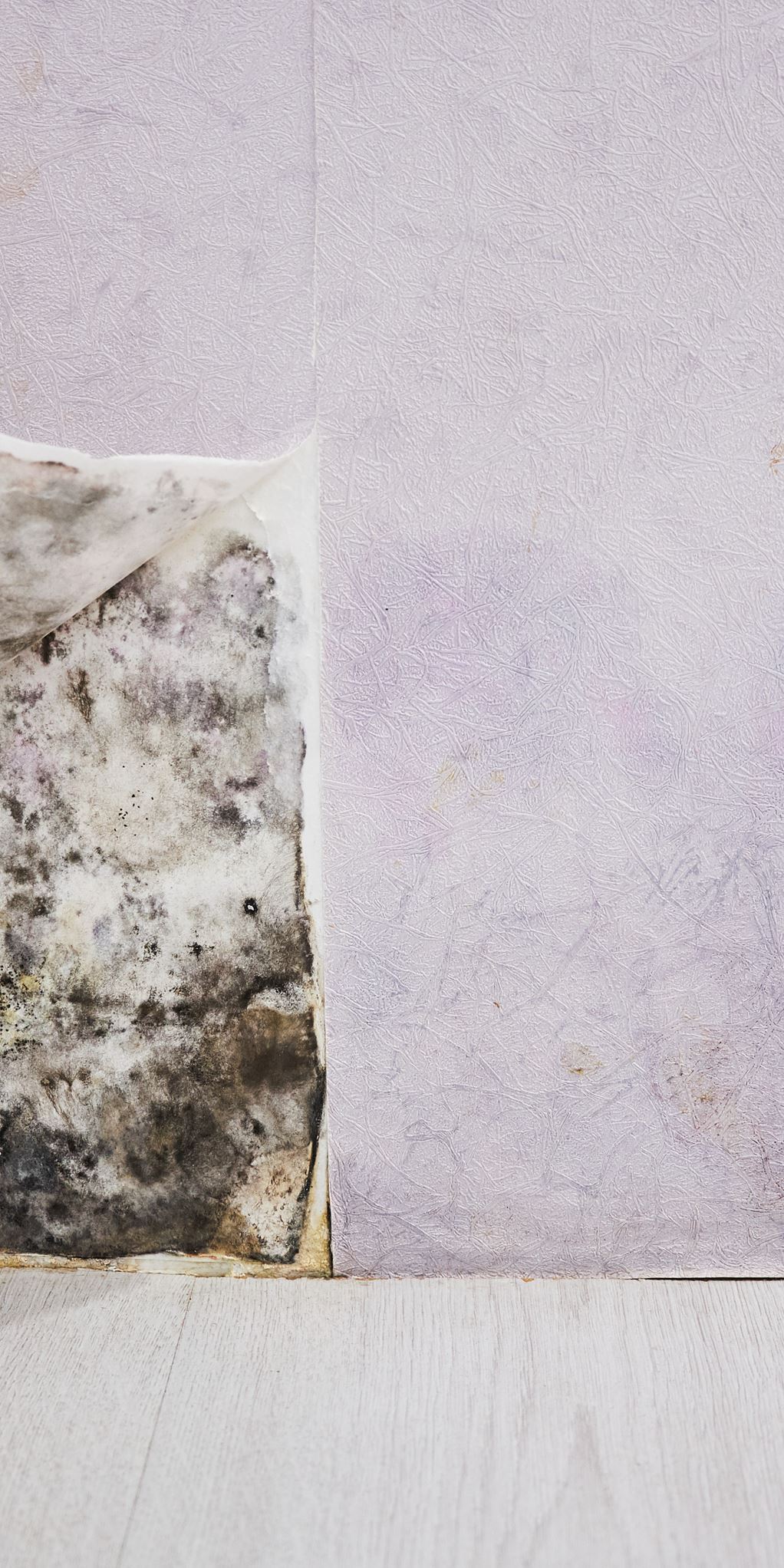 Reinigungslexikon Reinigungslexikon