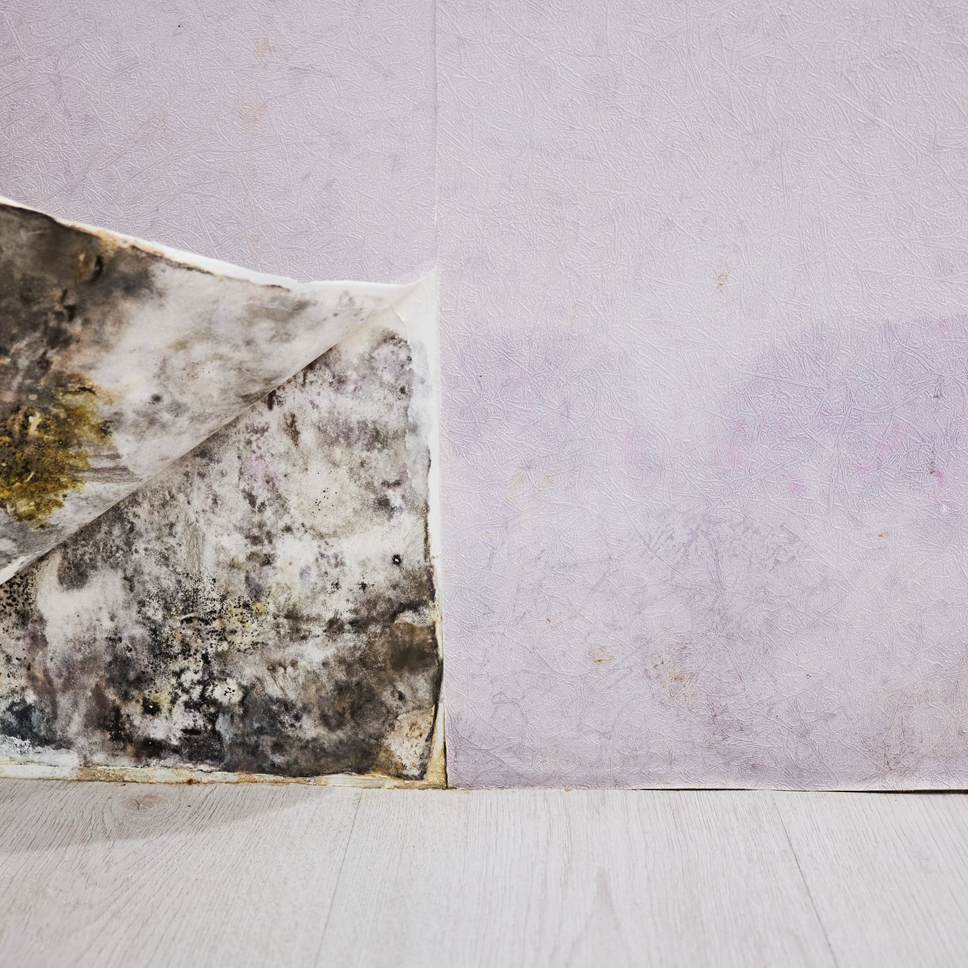 Reinigungslexikon Reinigungslexikon