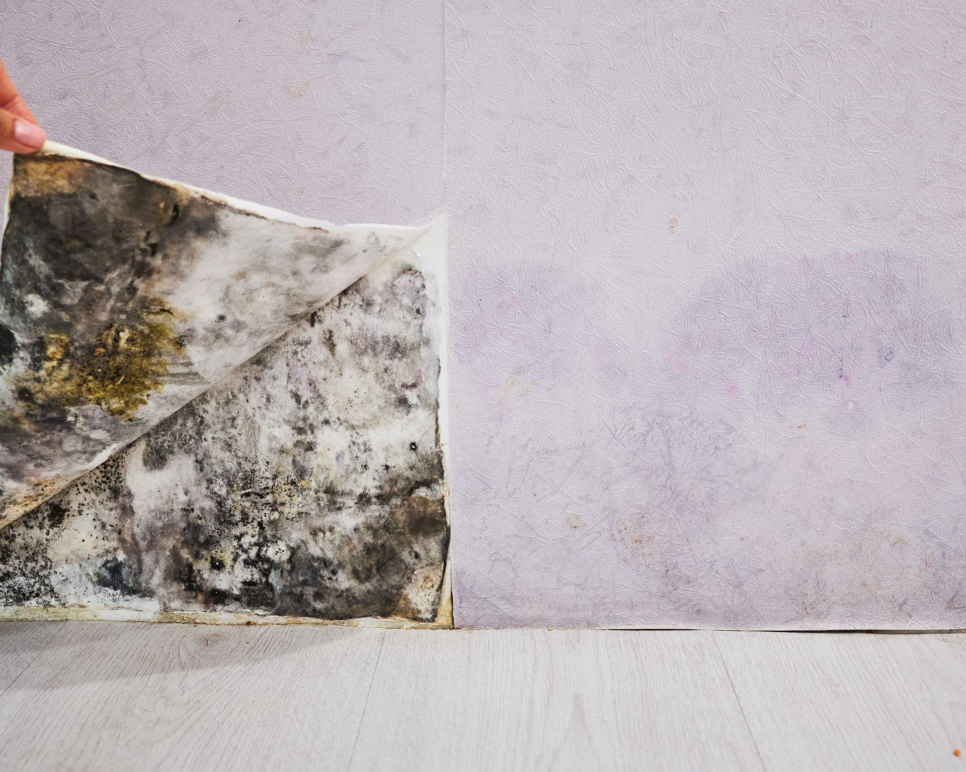 Reinigungslexikon Reinigungslexikon