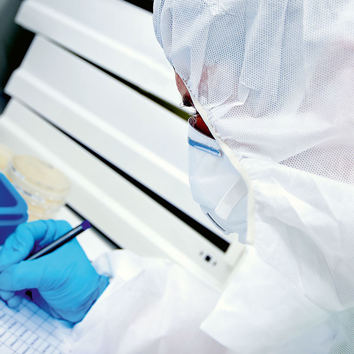 Hygieneauditbericht.jpg Hygieneauditbericht.jpg