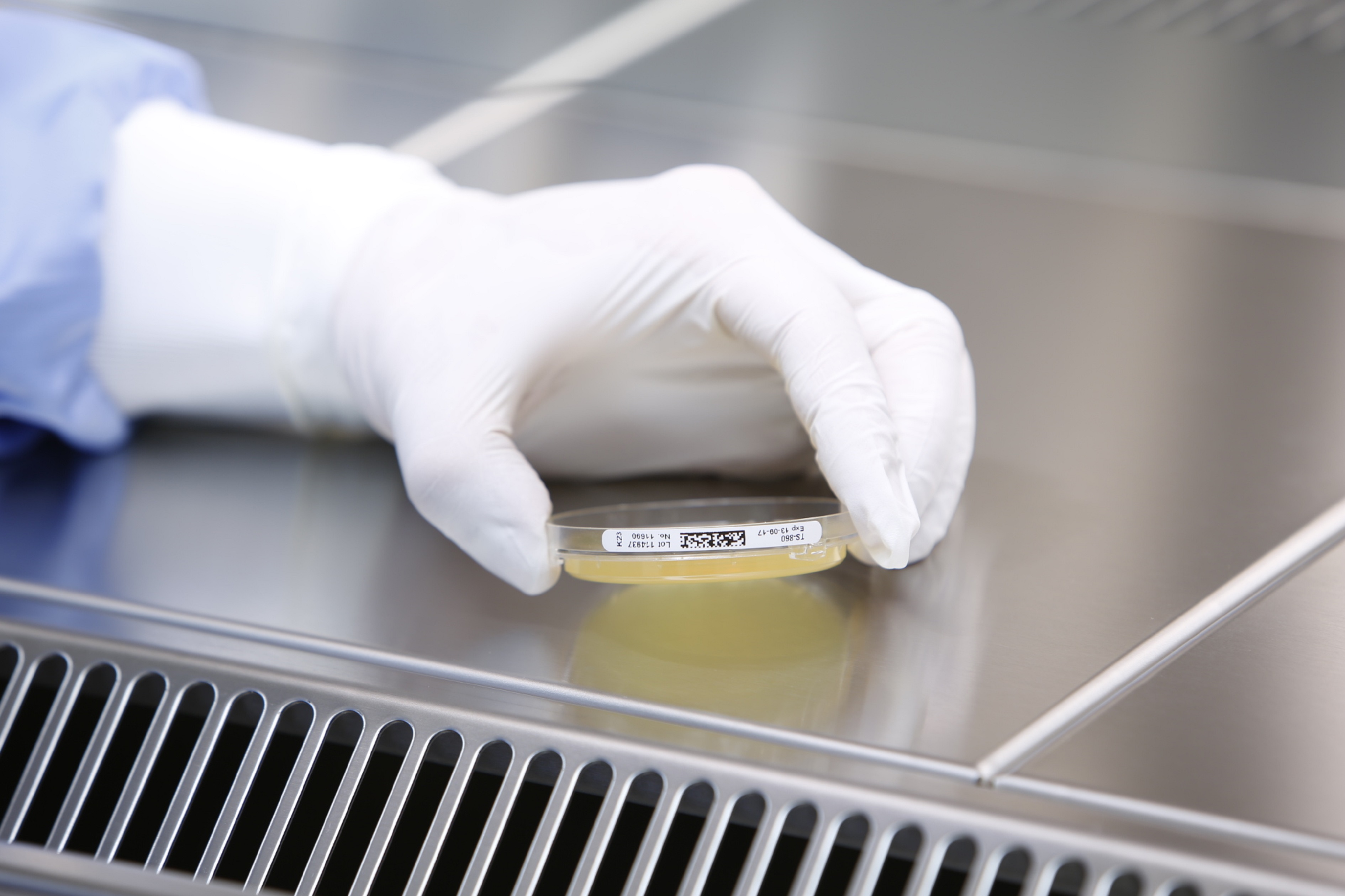 Ausbildung Reinraum-Reinigung.jpg