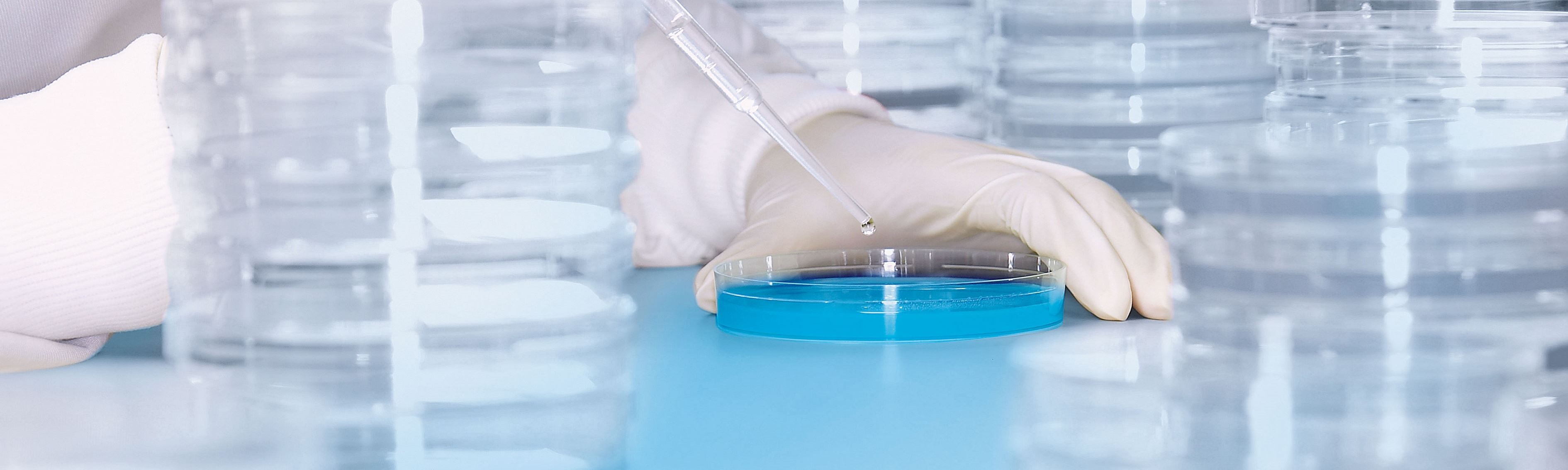 Hygienelabor.jpg Hygienelabor.jpg