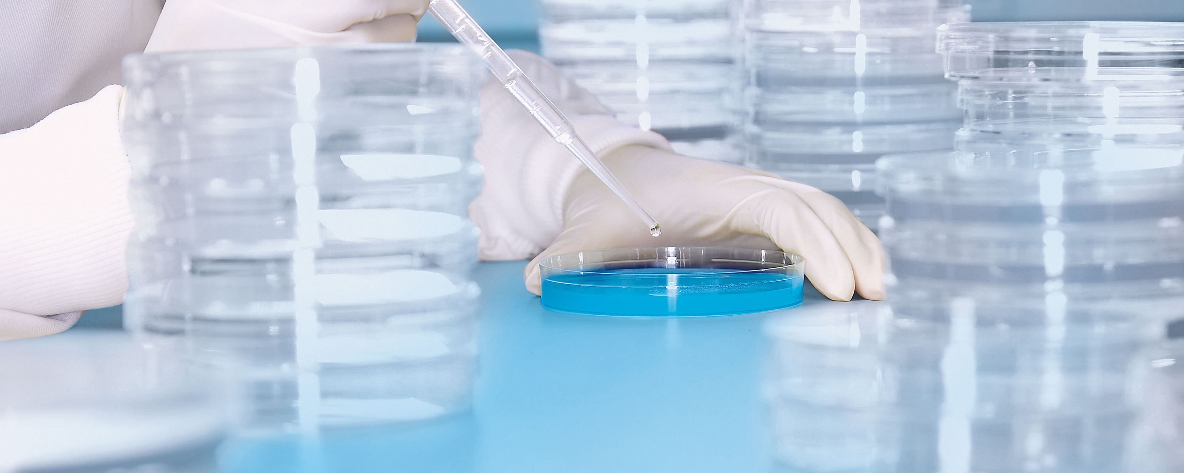 Hygienelabor.jpg Hygienelabor.jpg