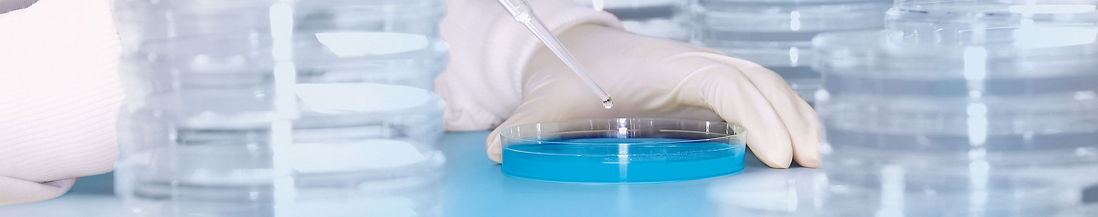 Hygienelabor.jpg Hygienelabor.jpg