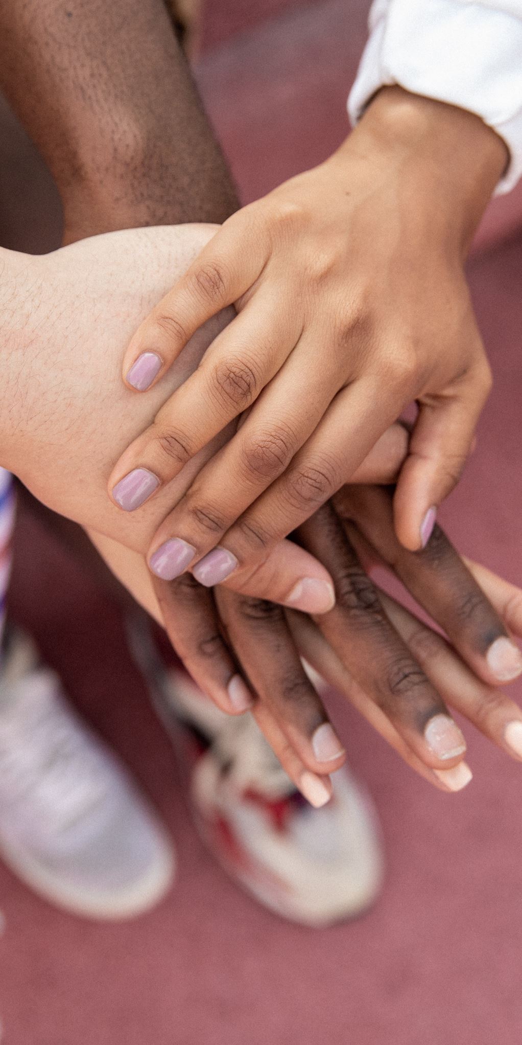 Pexels Monstera 5384623 Pexels Monstera 5384623