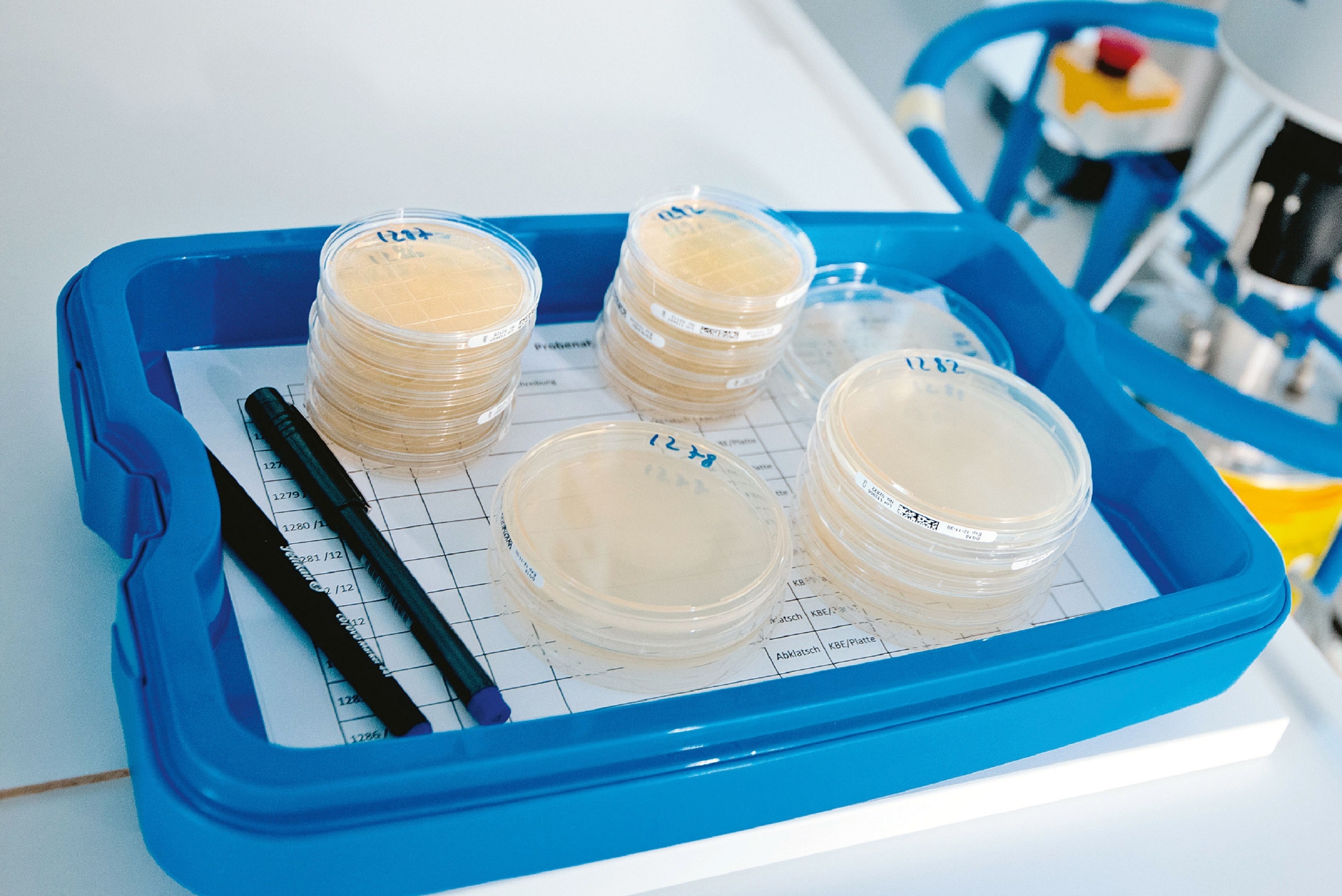 Keimidentifikation und mikrobiologisches Gutachten.jpg