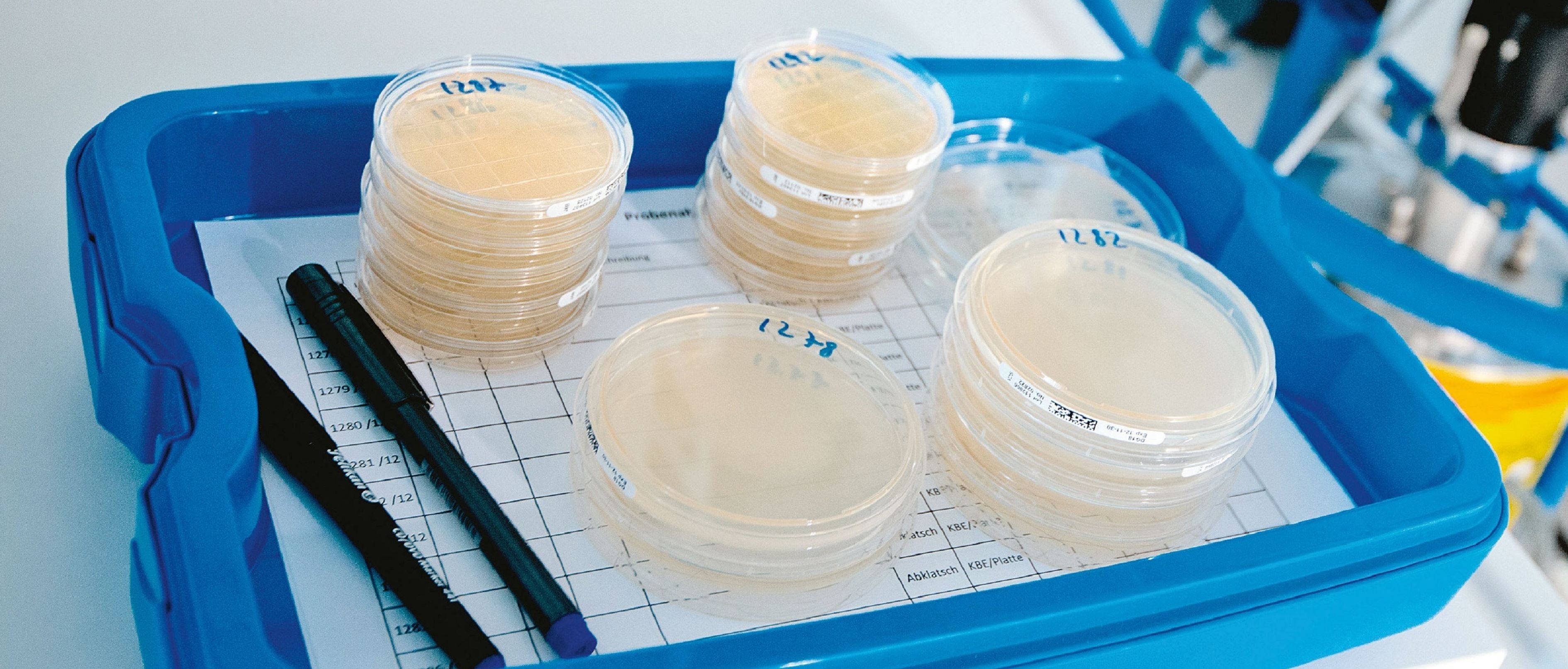 Keimidentifikation und mikrobiologisches Gutachten.jpg Keimidentifikation und mikrobiologisches Gutachten.jpg