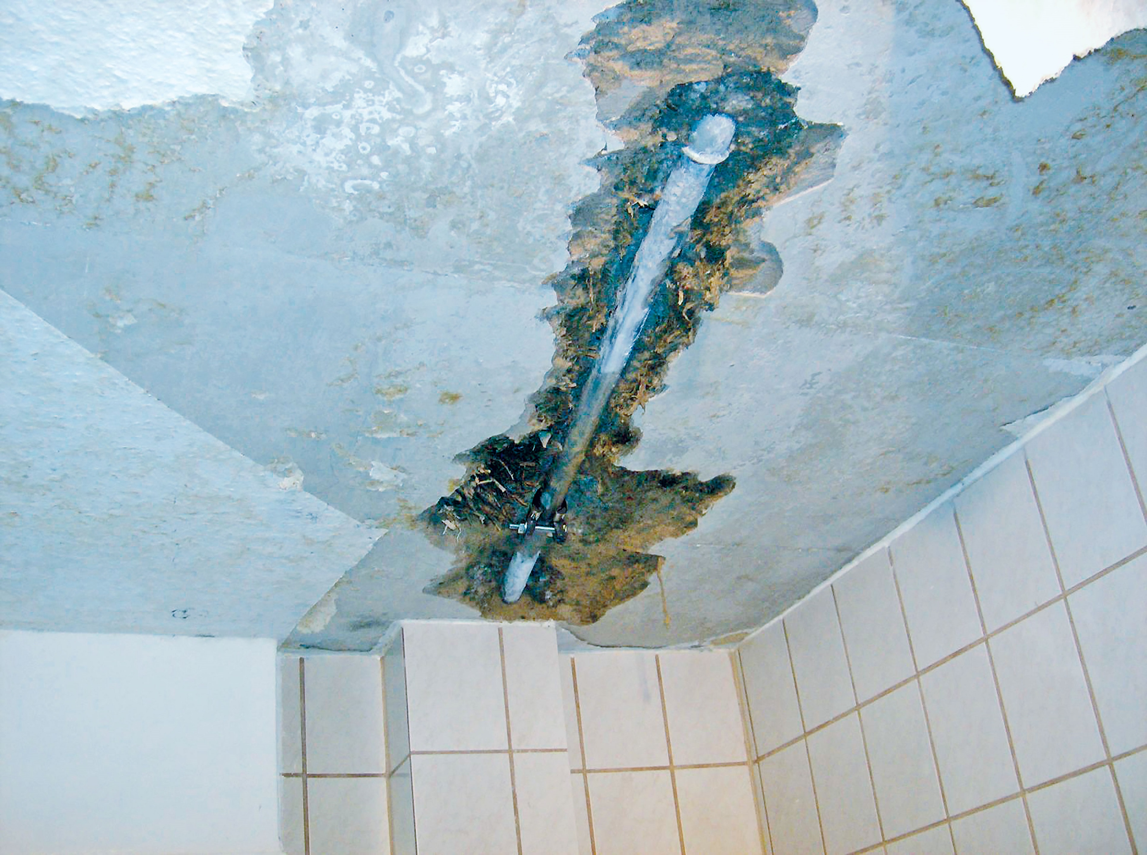 Sanierung Wasserschäden.jpg