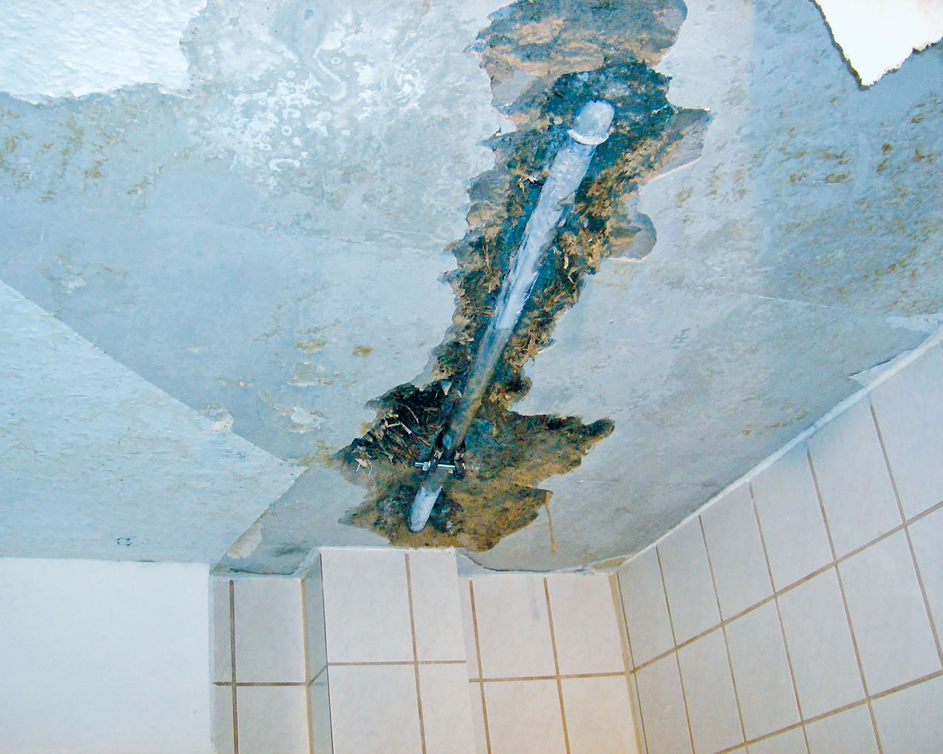 Sanierung Wasserschäden.jpg Sanierung Wasserschäden.jpg