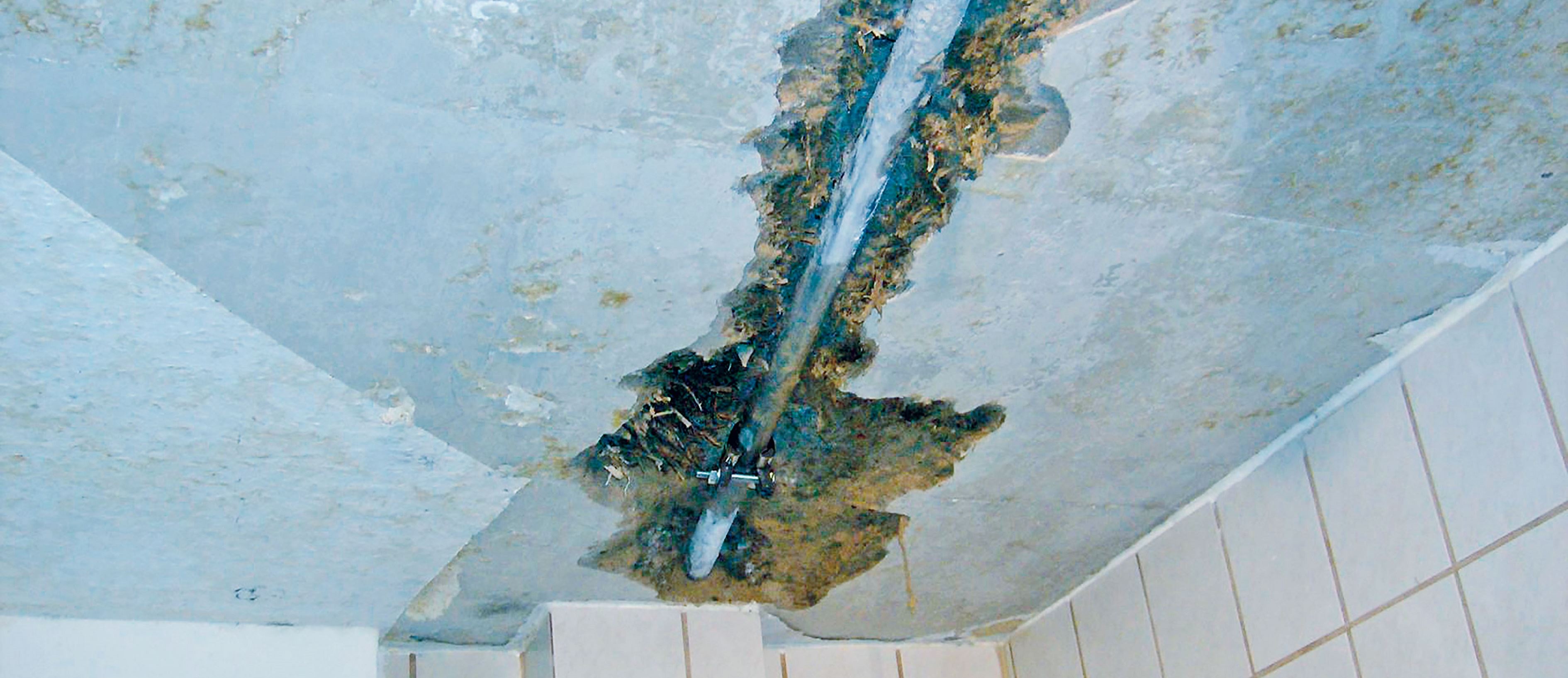 Sanierung Wasserschäden.jpg Sanierung Wasserschäden.jpg