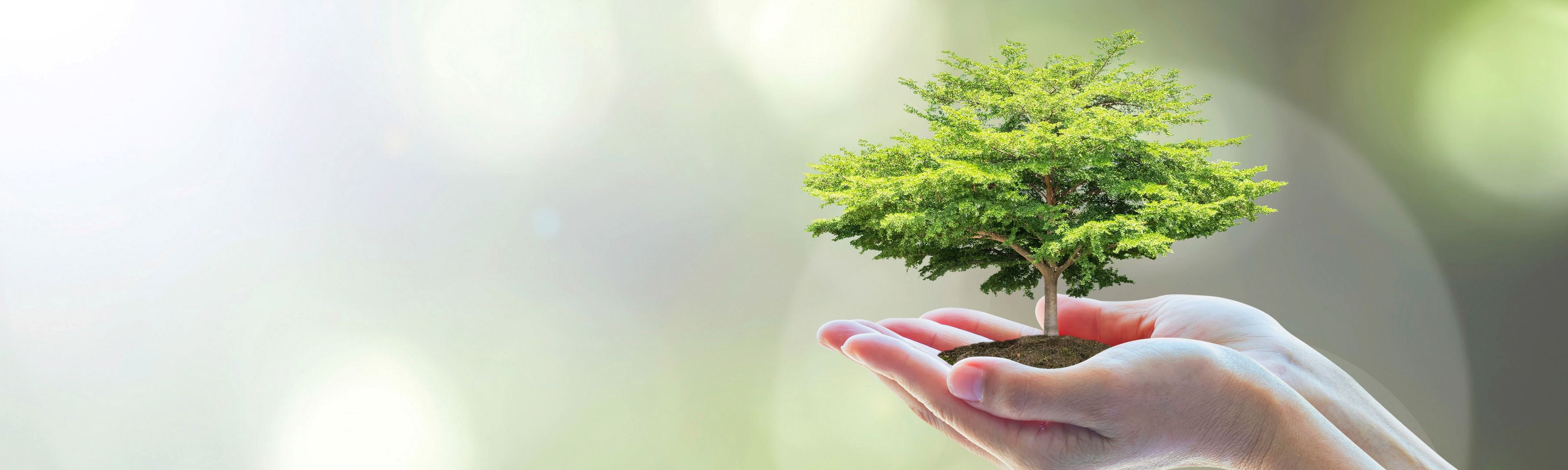 Umwelt.jpg Umwelt.jpg