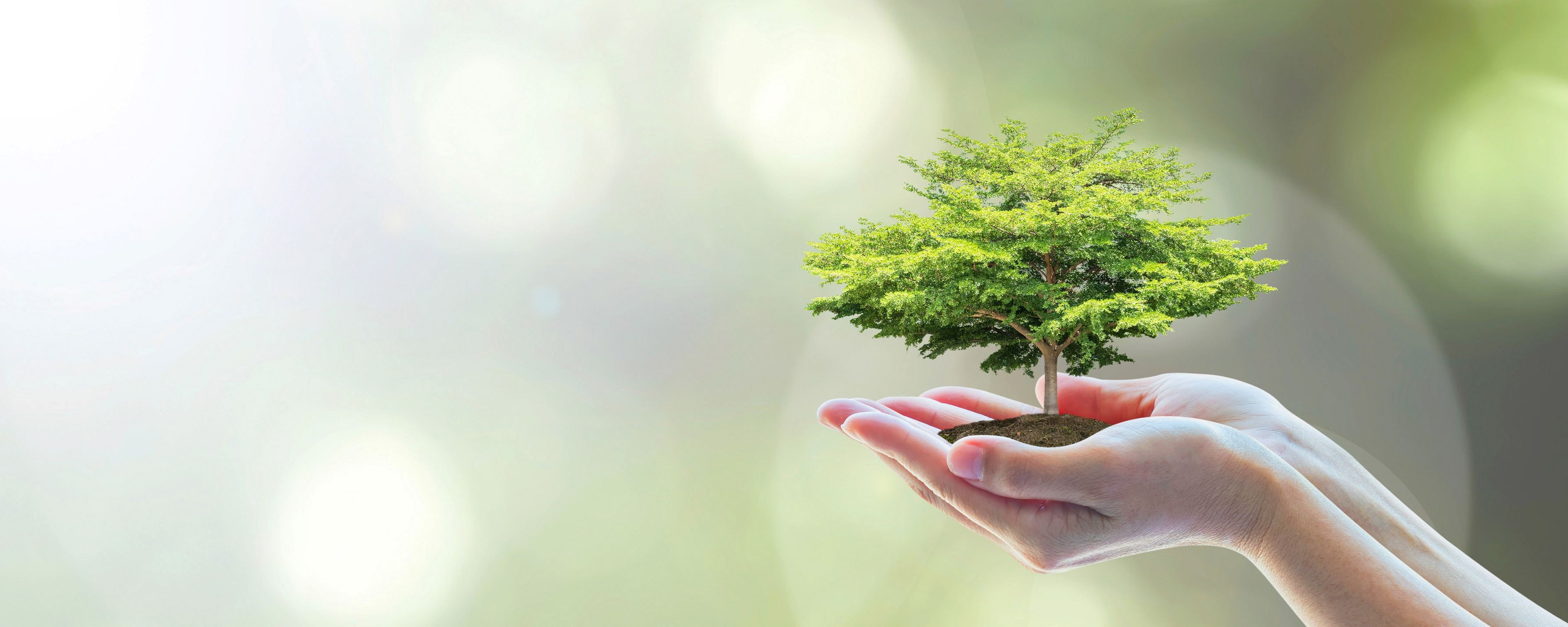 Umwelt.jpg Umwelt.jpg