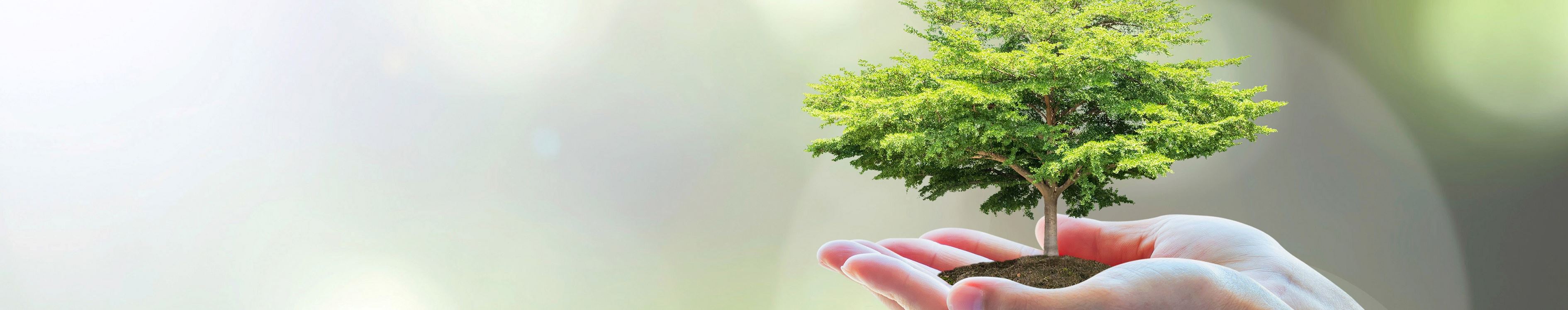 Umwelt.jpg Umwelt.jpg