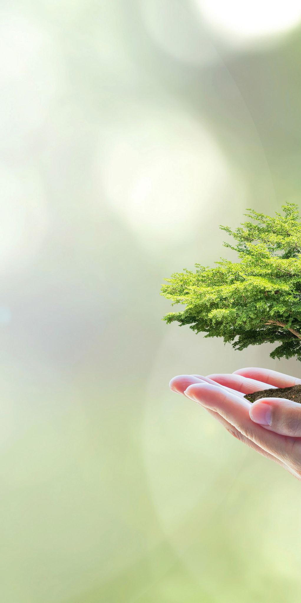 Umwelt.jpg Umwelt.jpg