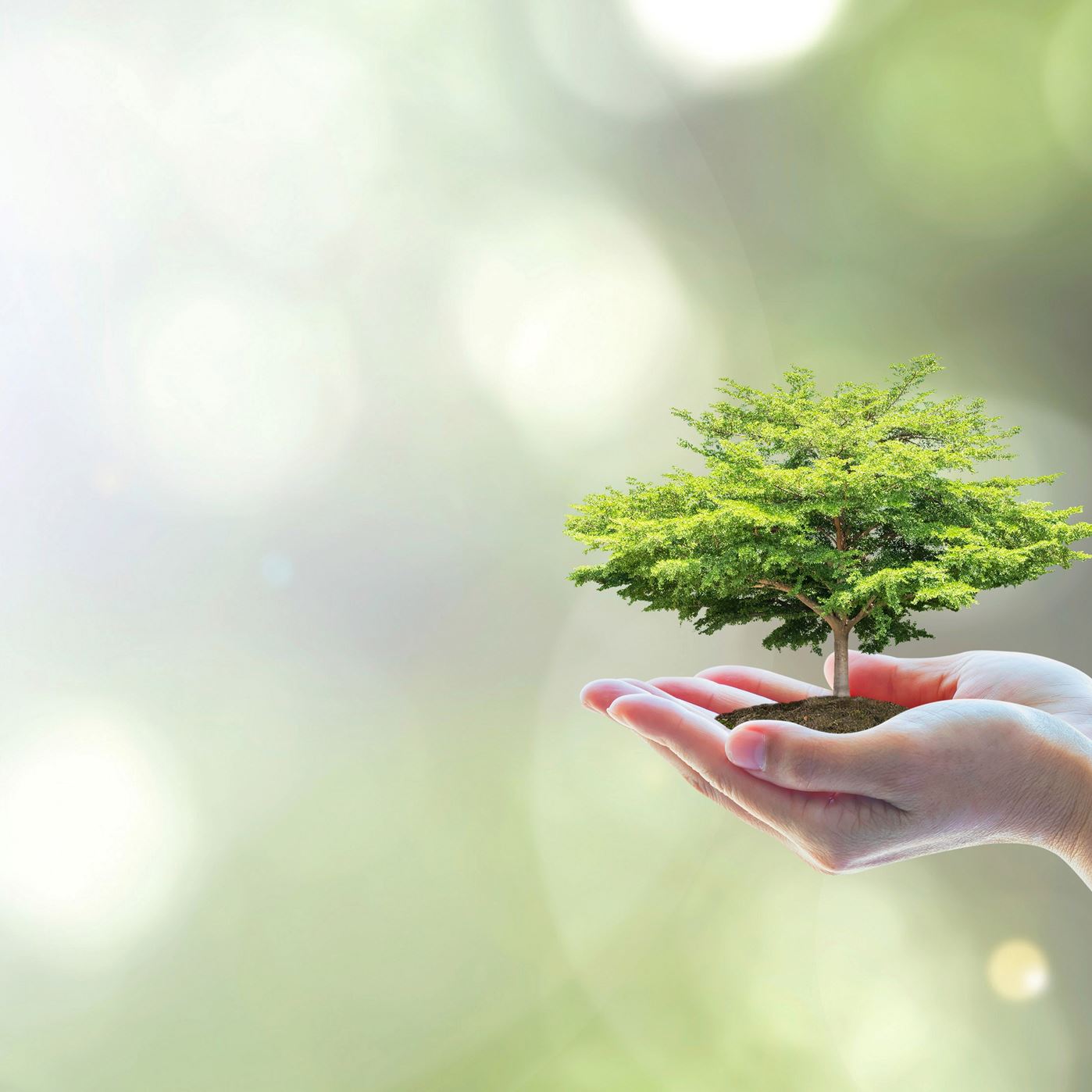 Umwelt.jpg Umwelt.jpg