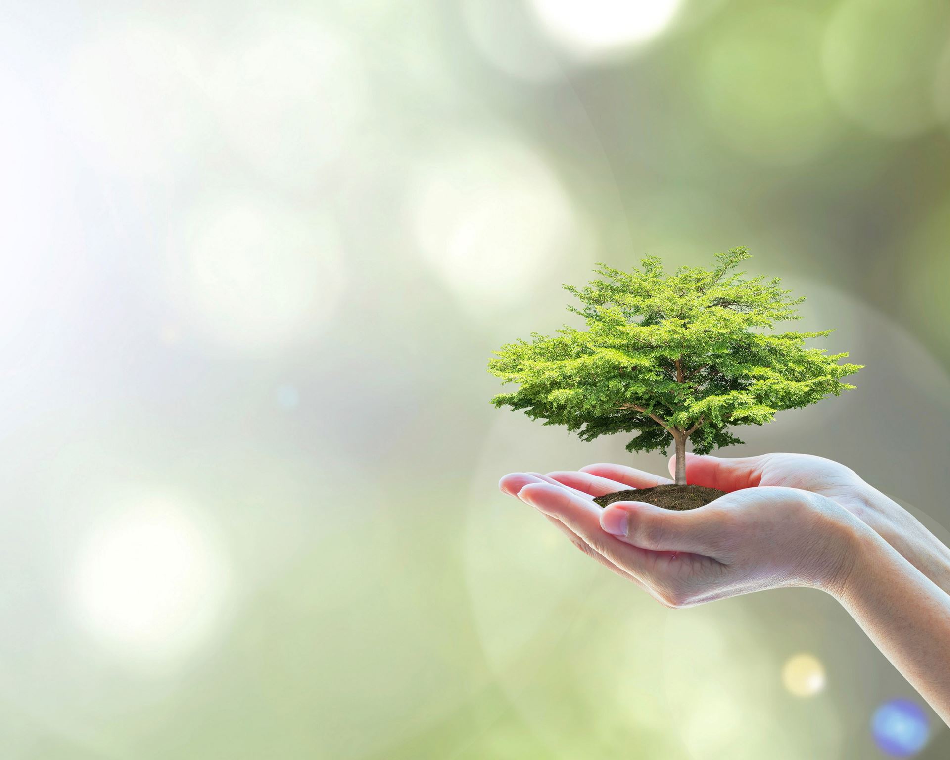 Umwelt.jpg Umwelt.jpg