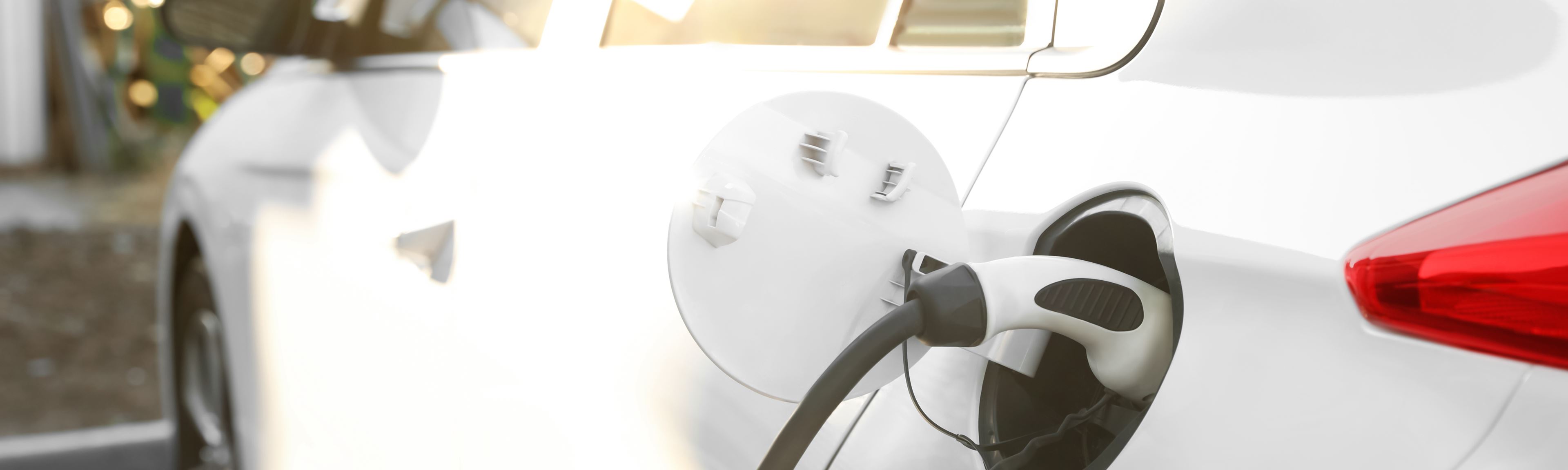 Nachhaltigkeitsverbesserung Nachhaltigkeitsverbesserung