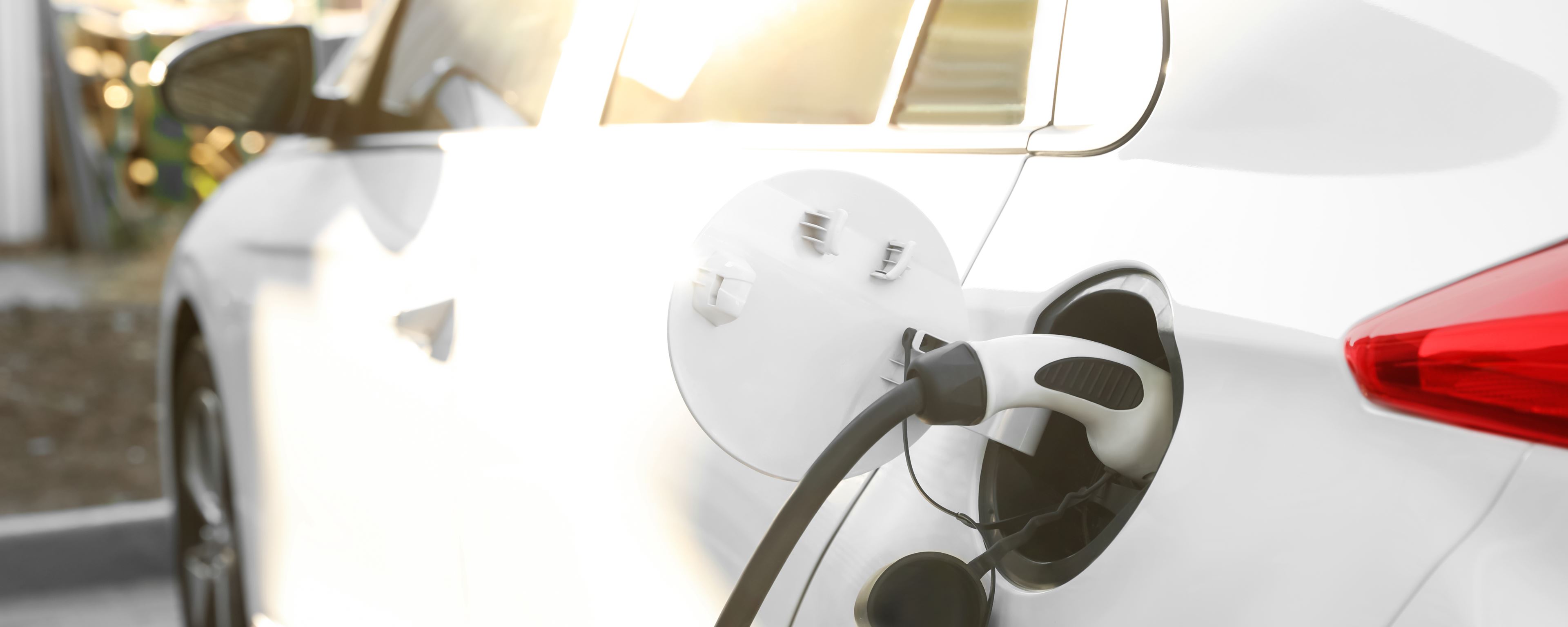 Nachhaltigkeitsverbesserung Nachhaltigkeitsverbesserung