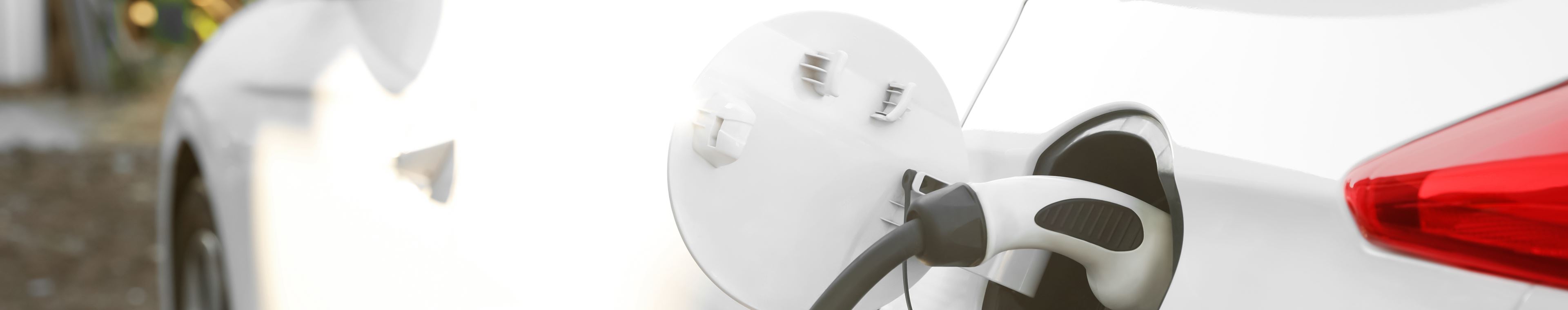 Nachhaltigkeitsverbesserung Nachhaltigkeitsverbesserung