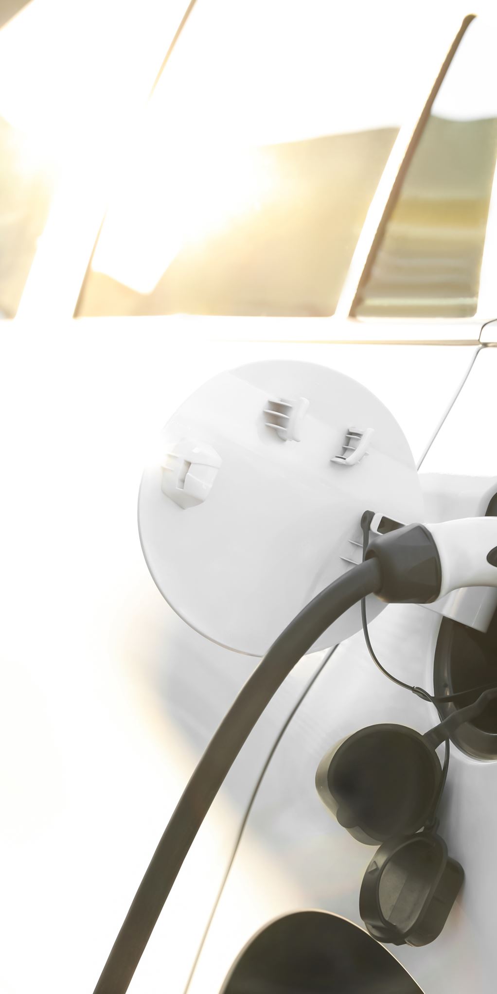 Nachhaltigkeitsverbesserung Nachhaltigkeitsverbesserung