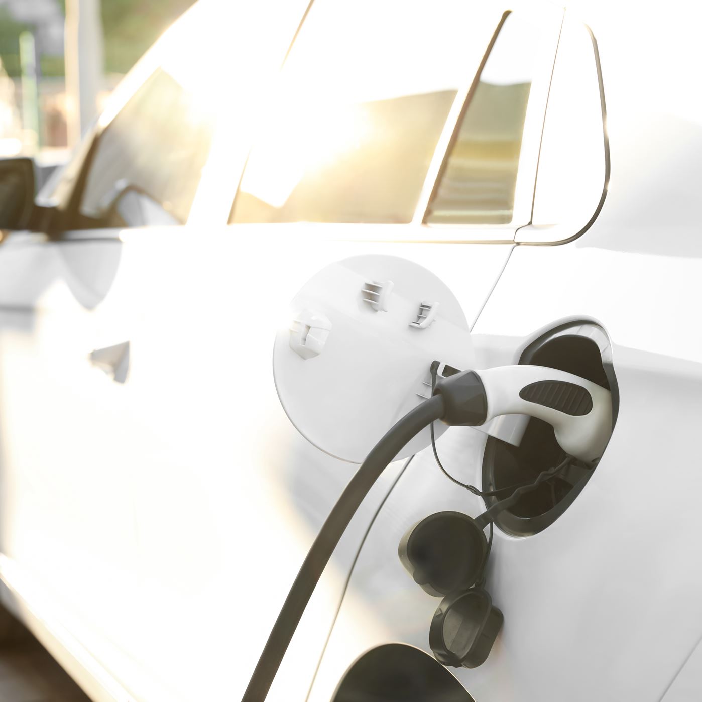 Nachhaltigkeitsverbesserung Nachhaltigkeitsverbesserung